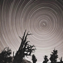 Running Round in Circles