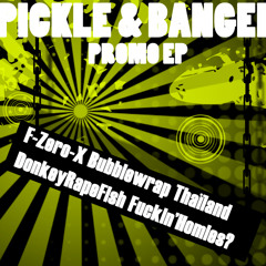 Pickle & Banger - F-Zero-X