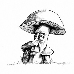 FungiFunGuy - Half-A-Mix