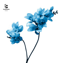 Technasia - Force (Mister Ries Juke Remix)