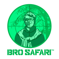 Bro Safari - Promo Mix - 2010