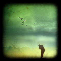 THE TAILOR - THE SALT - FROM THE ALBUM OF THE SAME NAME