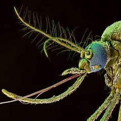 NiT GriT - Techinical Touch (Zion Remix)