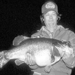 A.G. Trio - Bass Effect (Zodiac Cartel Mix) 128k TASTER