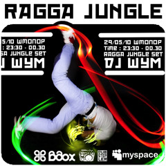 DJ SHUM/DJ ШУМ  - RAGGA JUNGLE