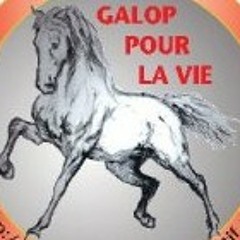 du lourd