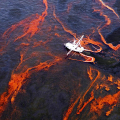 Free From Oil (A Message To My Pham)