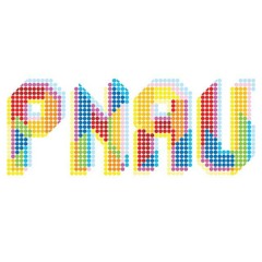 Pnau - With You Forever (FM Attack remix)