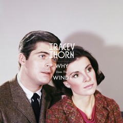 Tracey Thorn 'Why Does The Wind?' (Andre Lodemann Remix) (Extract)