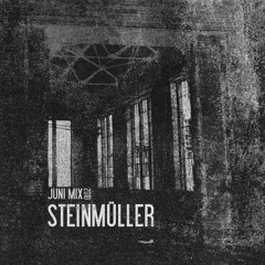 V.A. Steinmuller - Junimix 2010