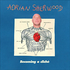 Adrian Sherwood - A Piece Of The Earth