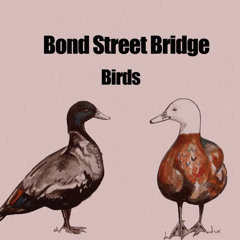 Bond Street Bridge - Birds
