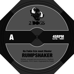 RUMPSHAKER - No Fakin' djs meet Diesler