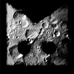 Moonbird
