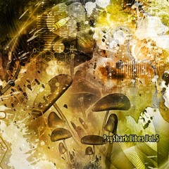 Synesthesia Vs. Midnightoker  - 2 much