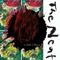 In Youth is Pleasure