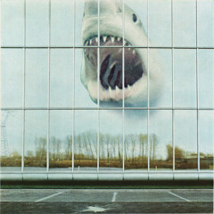 Black Mountain: Old Fangs