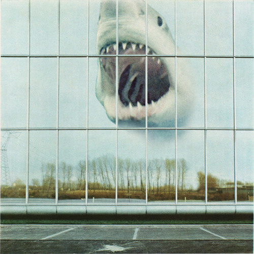 Black Mountain: Old Fangs