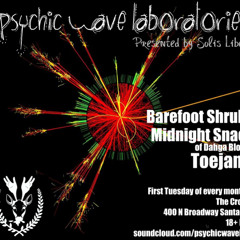 <BarefootShrubs><Toejamz> - Live at The Crosby 06.01.10