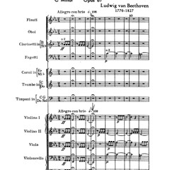 Beethoven Sym 5 1st Movement