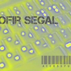 OFIR SEGAL ACCESSFUL