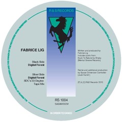 Fabrice Lig : Digital Forest (Space Dimension Controller remix)