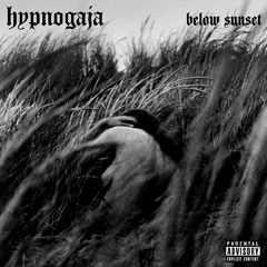 Ladata Hypnogaja, ShyBoy - They Don't Care
