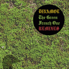 dinamoe - the green french one ( patrick zigon remix )