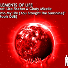 Into My Life (Vamp Mix) - Elements of Life ft. Lisa Fischer