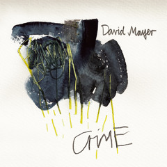 A1 David Mayer - Crime