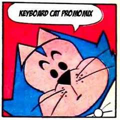 Keyboard Cat Promomix