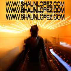 T.I. - Whatever You Like (Shaun Lopez RMX)