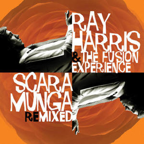 Ray Harris and The Fusion Experience - Scaramunga (Ray Lugo Remix)