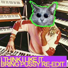 I Think I Like It (Tommie Sunshine & Figure EC$TACY Remix - Bring Pussy Re-Edit)