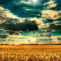 ZUNI - FIELDS OF GOLD - STING