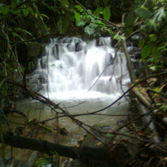 Yeiei the Medicine way (Neta-Ya) - Diamante 235