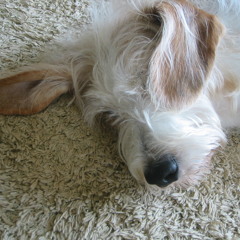 HAIR BRAIDER G.RINA RMX