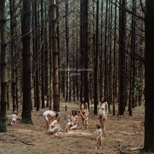 Principles Of Geometry - Golem