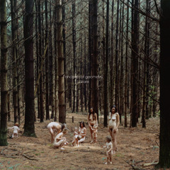 Principles Of Geometry - Lazare