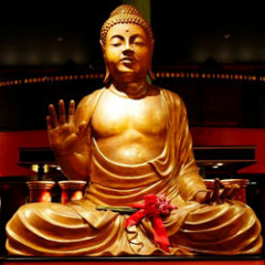 Flex & Martijn Jacobs - Little Buddha Amsterdam