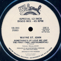 Wayne St John - something up (DJ mila Somsup mix)