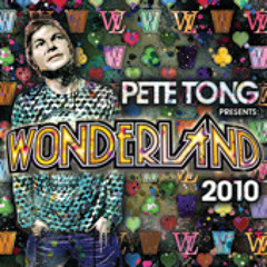 Gorillaz - Stylo (Tong & Rogers Wonderland Mix)