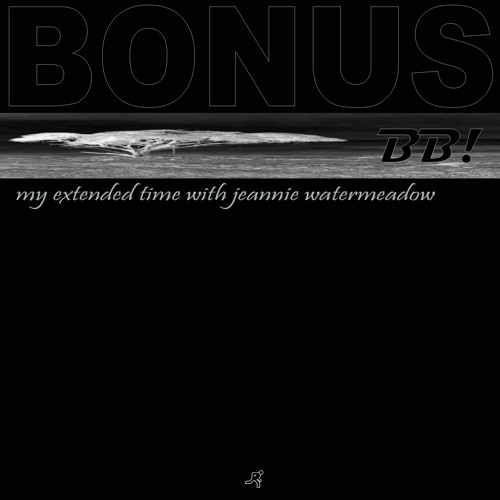 Fly On The Windscreen