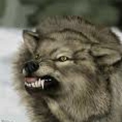 Two Wolves for a Lamb