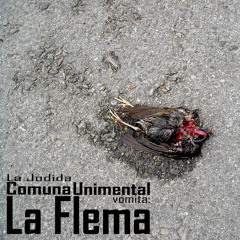 La Jodida Comuna Unimental - La Flema - 09 - Moody - 2008