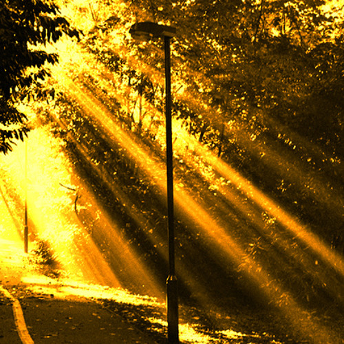 Golden light of truth [instrumental]