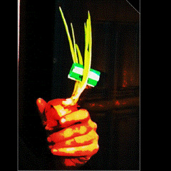 Forget the dub (and cut the rasta...)