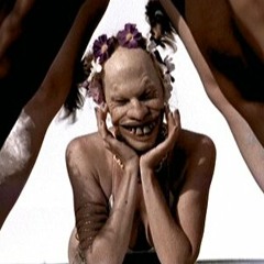 Mr Monghol - Windowlicker ( Aphex Twin Remix )