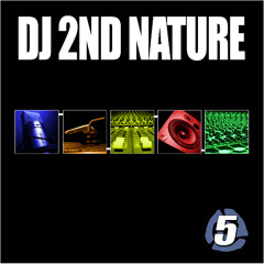 DJ 2nd Nature - 5 (1999)