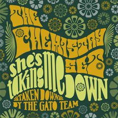 She's Taking Me Down (Extended Remix) - The Chemistry Set